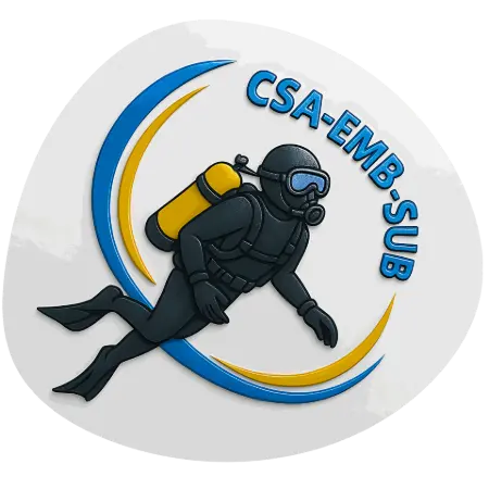 CSA-SUB